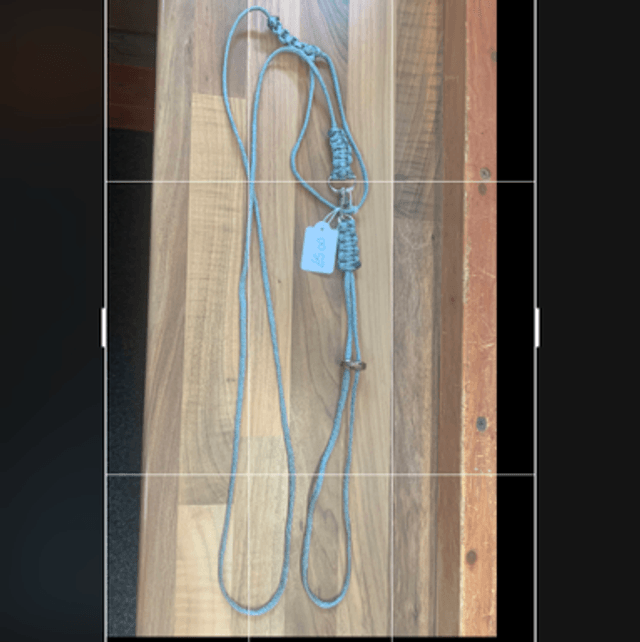 Figure 8 harness and lead set