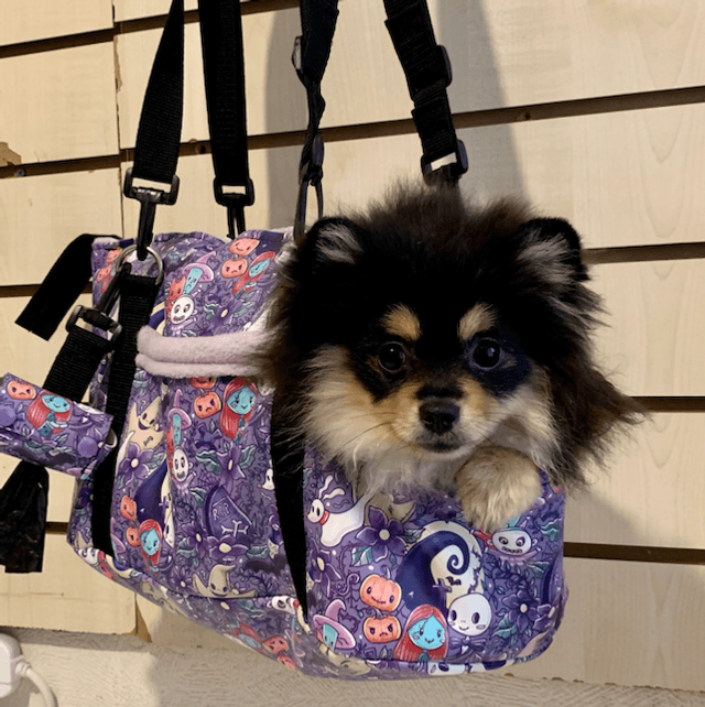 Dog carrier handmade nightmare before Xmas theme