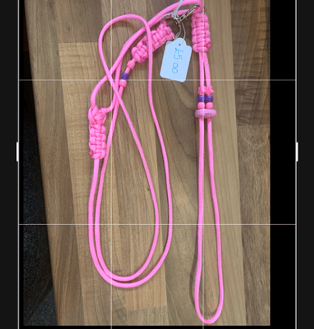 Figure 8 harness and lead set