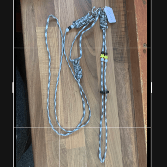 Figure 8 harness and lead set