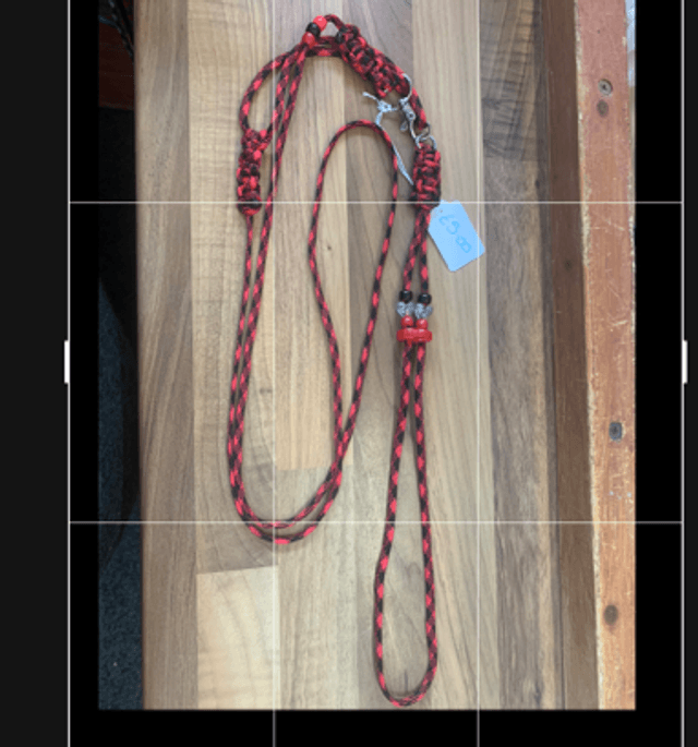 Figure 8 harness and lead set