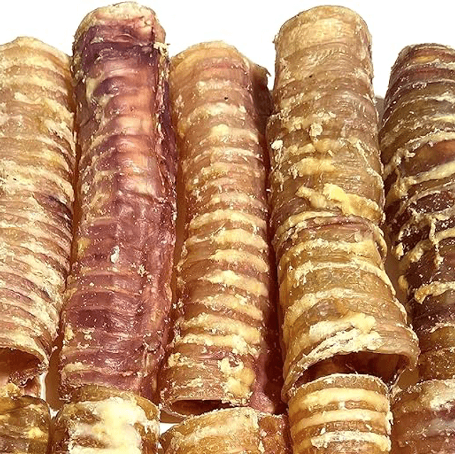 Trachea’s 