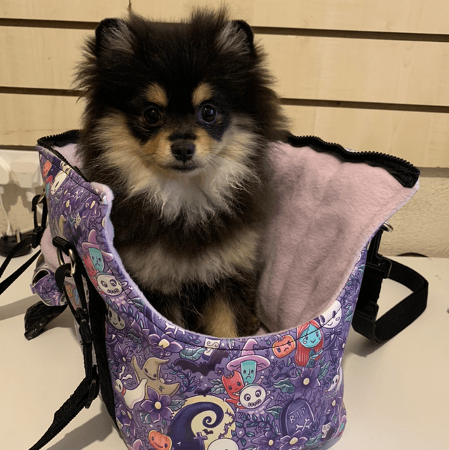 Dog carrier handmade nightmare before Xmas theme