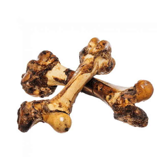 Jurassic Bones