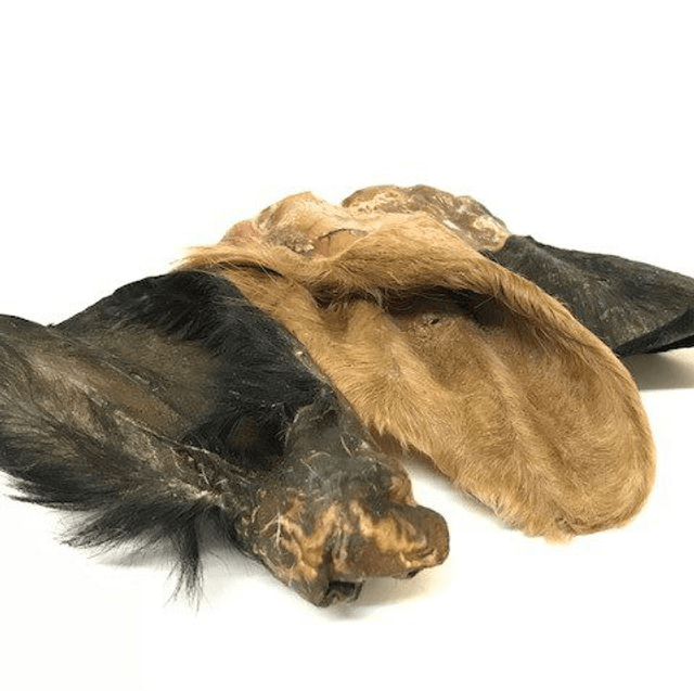 Hairy cow ear