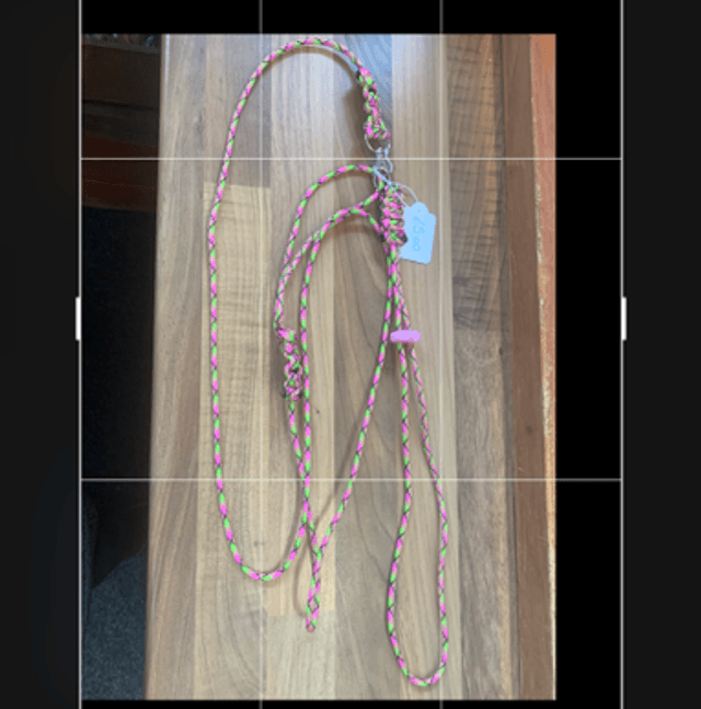 Figure 8 harness and lead set