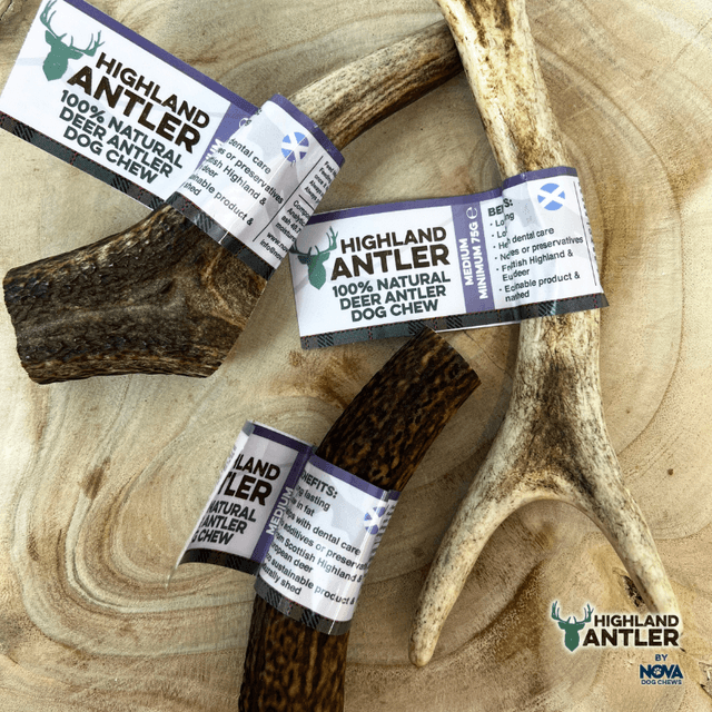 Antlers