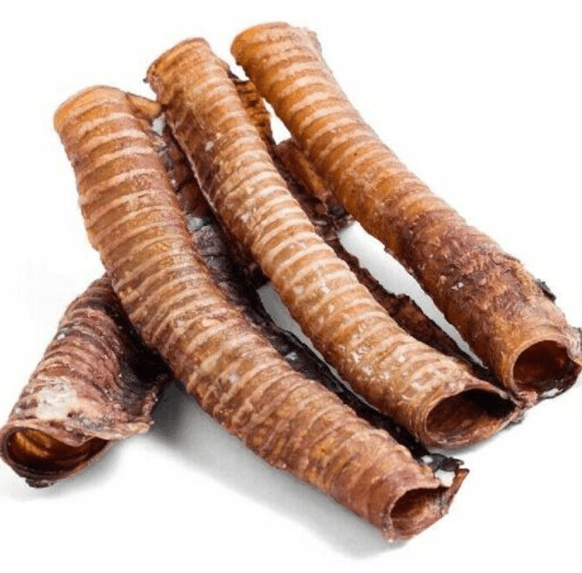 Trachea’s 