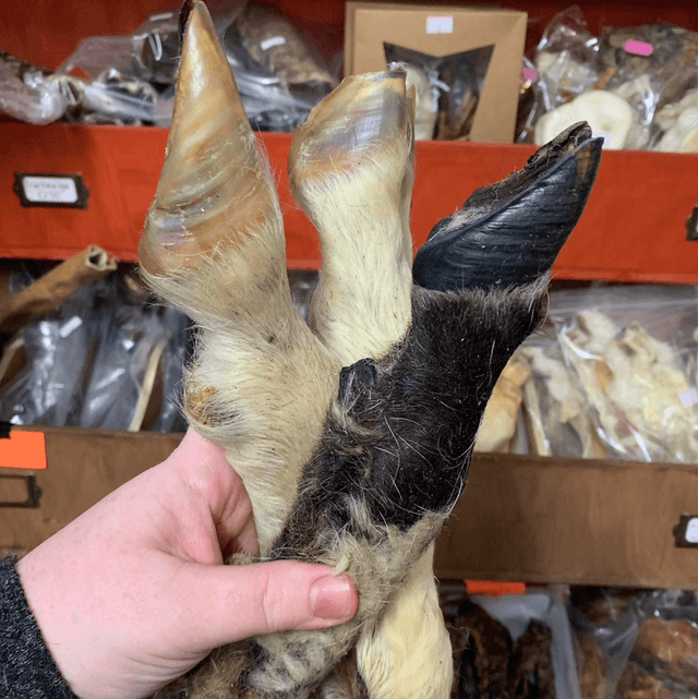 Lamb feet