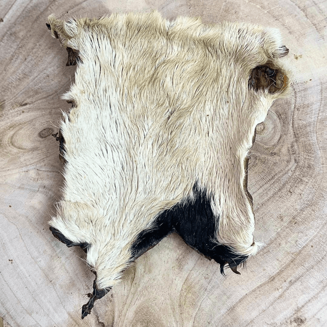 Xl Hairy been Skin