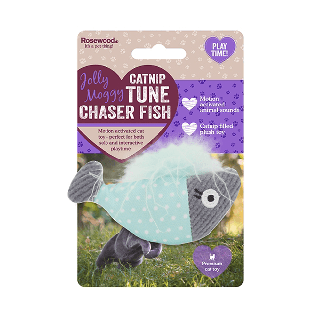 Catnip tune chaser fish